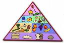 food groups